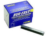 1/2" CHISEL POINT STAPLES 5M/BX