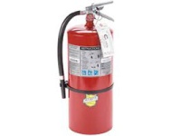 10LB ABC DRY CHEM FE